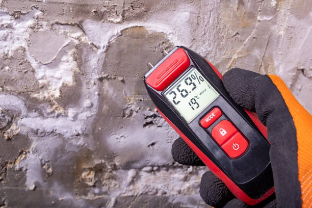 Mold Testing and Removal in Ventnor City, NJ